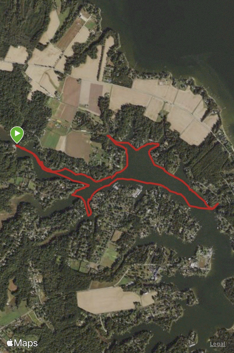 Img 1855 Jpg Spinsheet