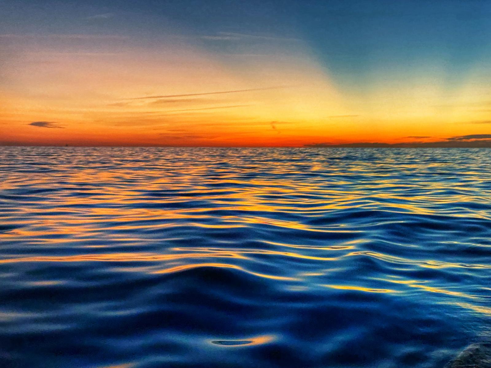 Img 3890 Jpg Spinsheet