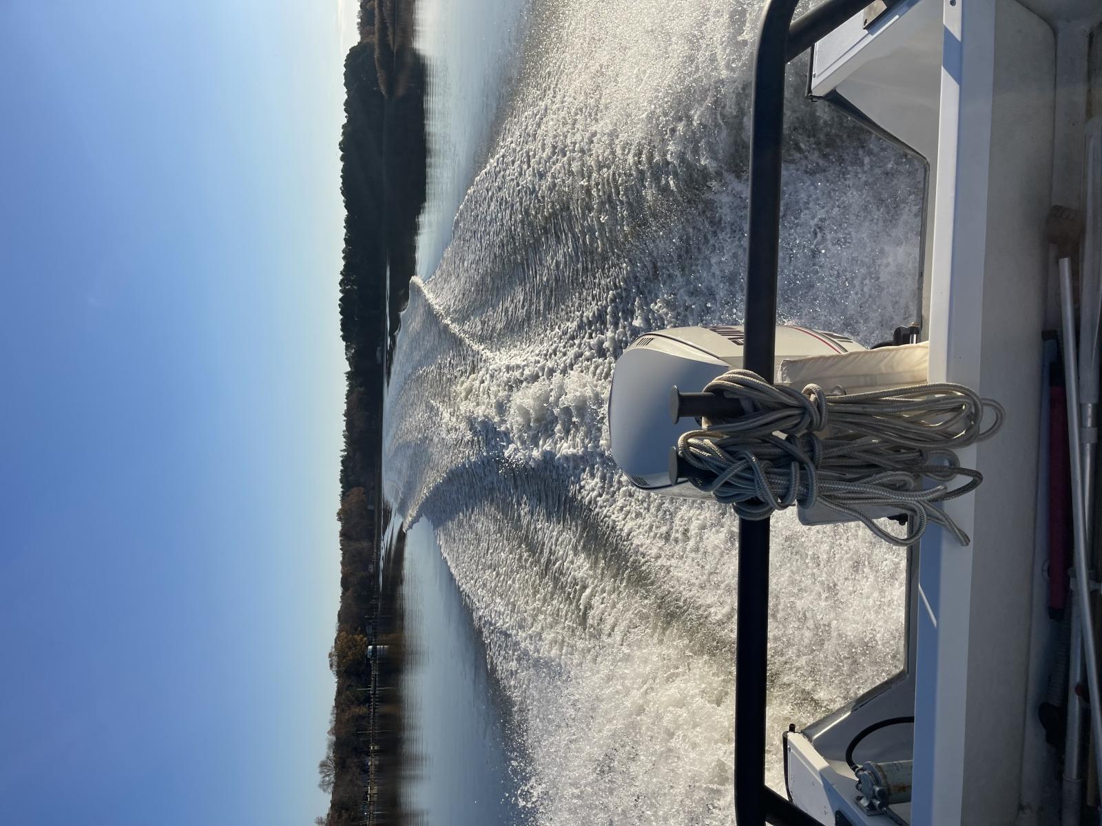 Img 7950 Jpeg Spinsheet