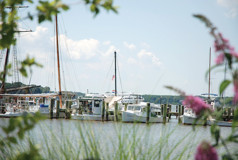 Boats along the Chester River, which the Schooner Sultana calls homeport. Photo by Bernadette Bowman courtesy of Kent County Tourism