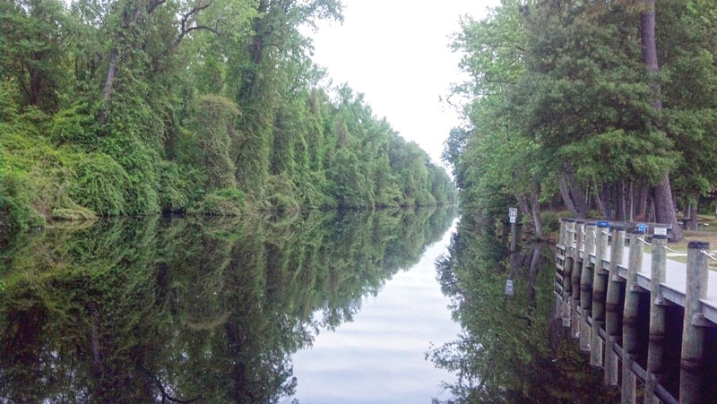 Photo taken from the visitor’s center for the Dismal Swamp on the ICW
