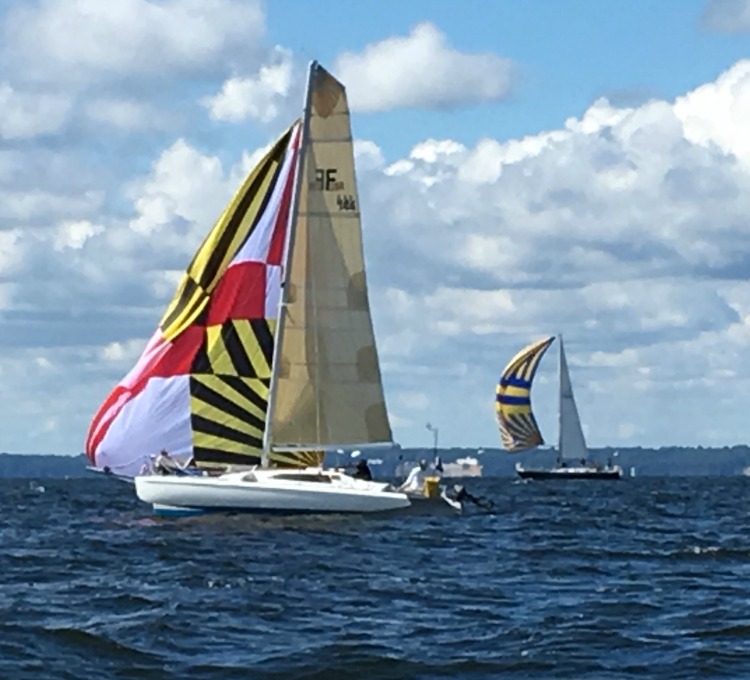 Nice new Maryland flag spinnaker! Photo by SpinSheet