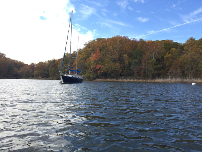 Fall foliage off the Severn River.