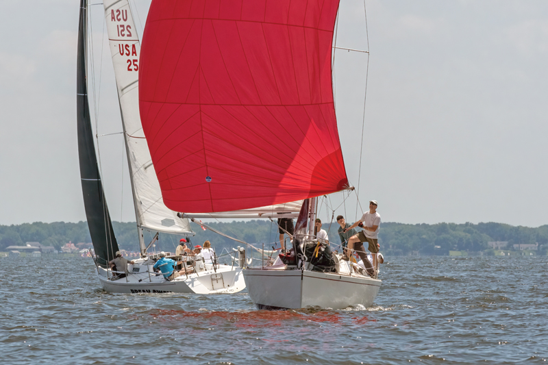 sailboat regatta