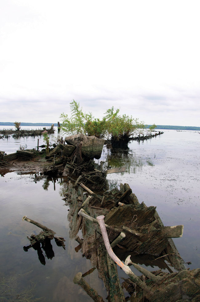 Mallows Bay. Photo by Avery Paxton, University of North Carolina Institute of Marine Sciences/courtesy of Maryland DNR