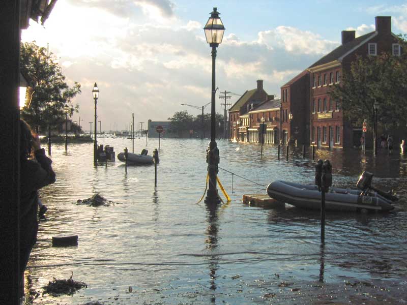 Dinghies tied to parking meters on Main Street Annapolis the morning of September 19, 2003. Photo by Joe Hutchins