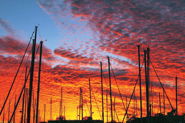November sky. Photo by Cindy Wallach
