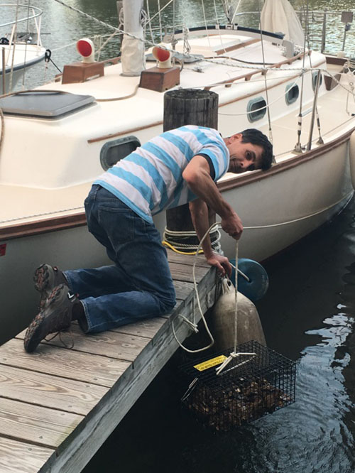 Jordan checks on oyster spat on the finger pier by their sailboat.