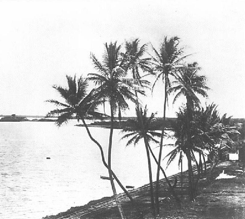 Pearl Harbor in the 1880s. Hawaii State Archives