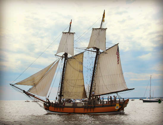 Great Chesapeake Bay Schooner Race 2016 photo by Cindy Wallach