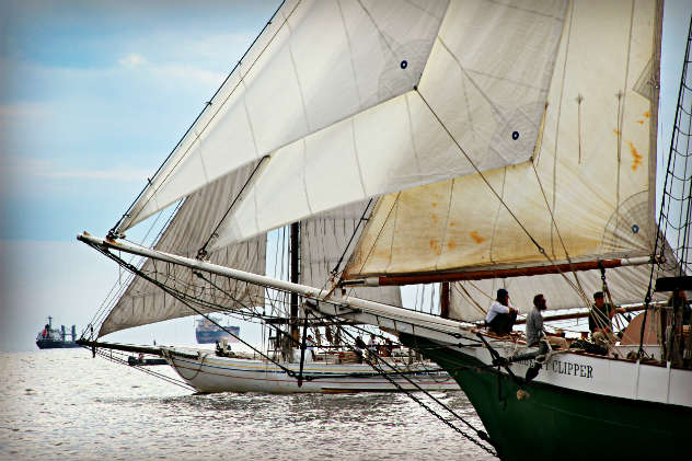 Great Chesapeake Bay Schooner Race 2016 photo by Cindy Wallach