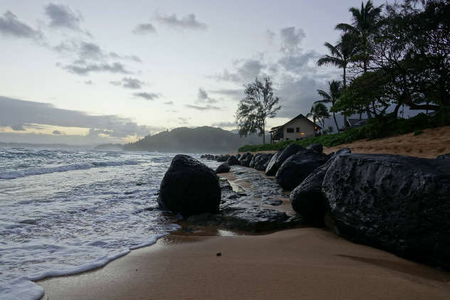 Shannon Hibberd in Hawaii for Blue Friday 2017