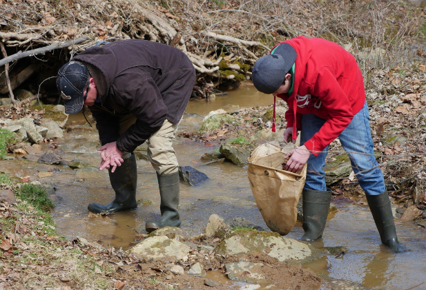 Stream wader volunteers