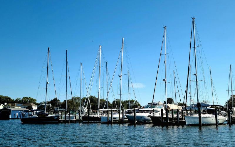 In honor of sailboat show this weekend...