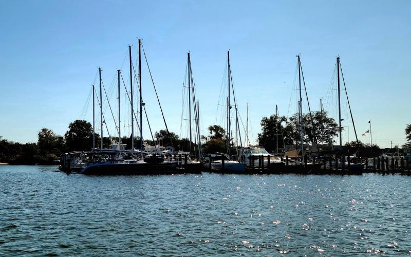 In honor of sailboat show this weekend....