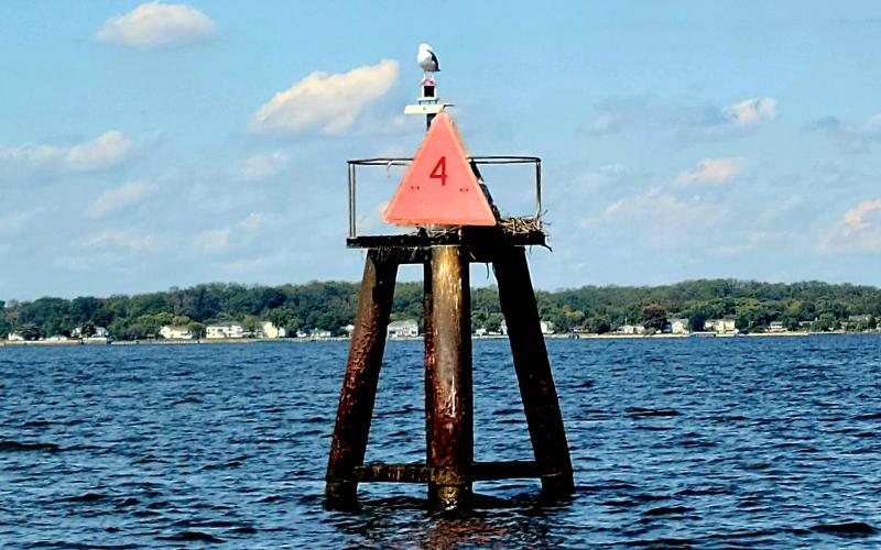 Current new resident at Marker 4 (mouth of the south)