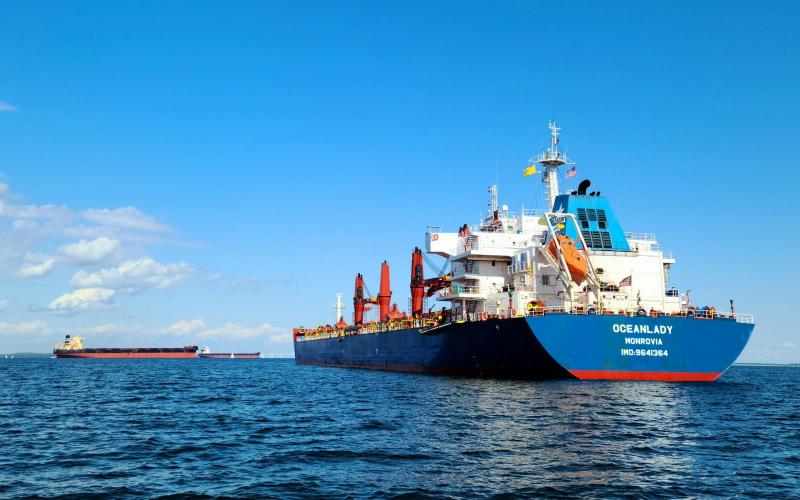 OceanLady and some of her anchorage company