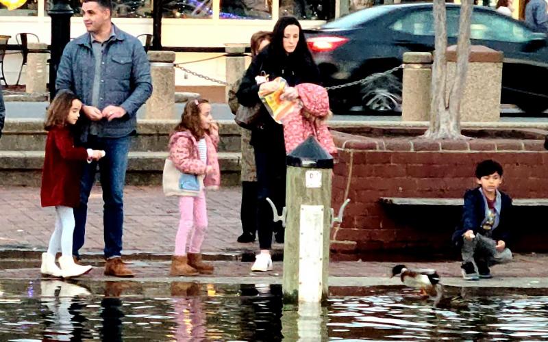Kids feeding the ducks in Ego Alley, taken from the boat