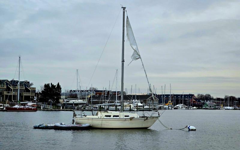 This sailboat is looking a little sad, but still afloat and presumably somebody's home........