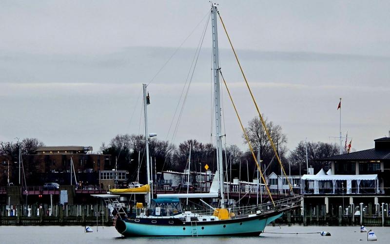 The only other sailboat in the Spa Creek anchorage....