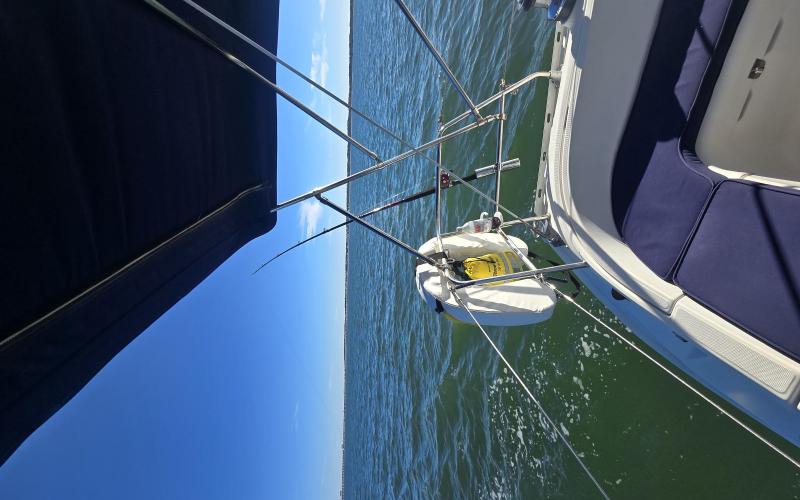 No fish were harmed during this sail