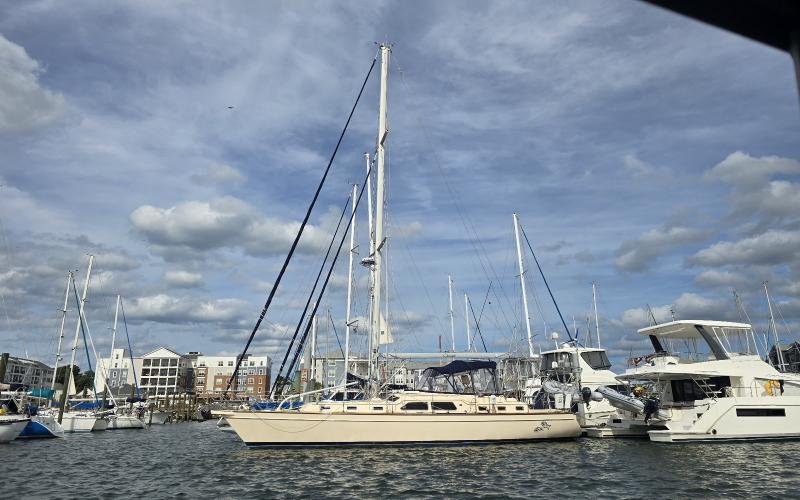 Pretty Island Packet