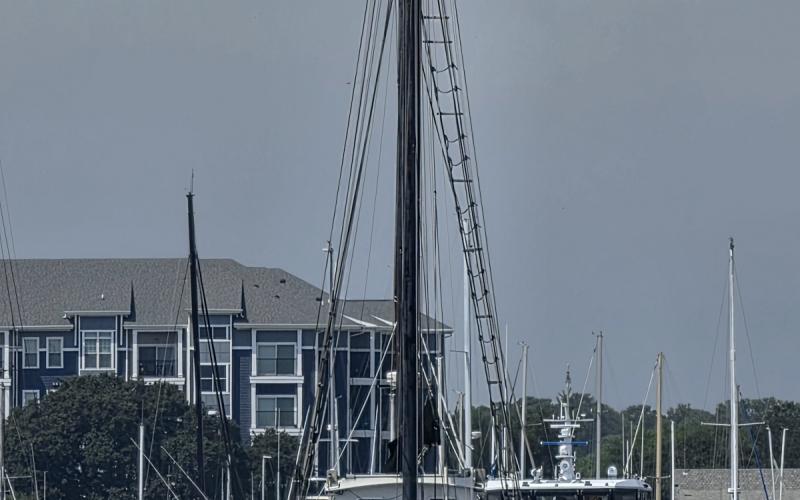 Norfolk Rebel