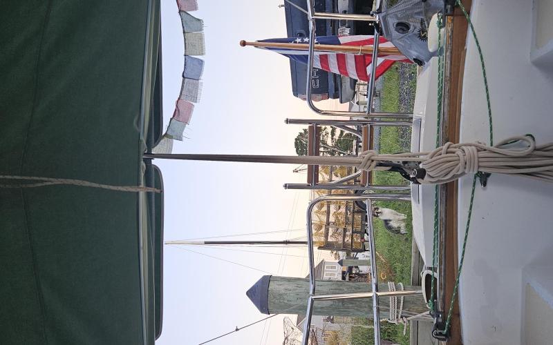 Boat yard at breakfast; a curious feline gazes in over our transom.