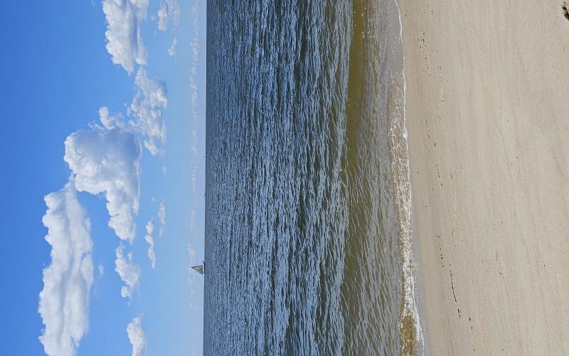 Community beach at Deal Island Harbor