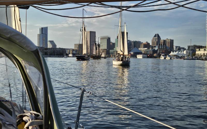 Parade of Sail heading toward Inner Harbor