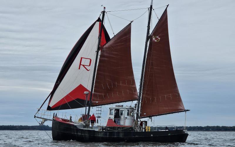 The only picture I have from the race - Norfolk Rebel sailing south around 1pm