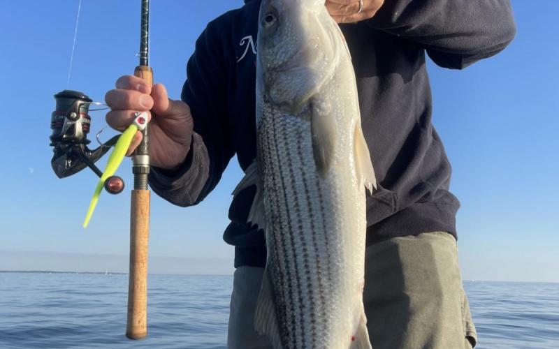 “Little Big Stick” from Tackle Cove