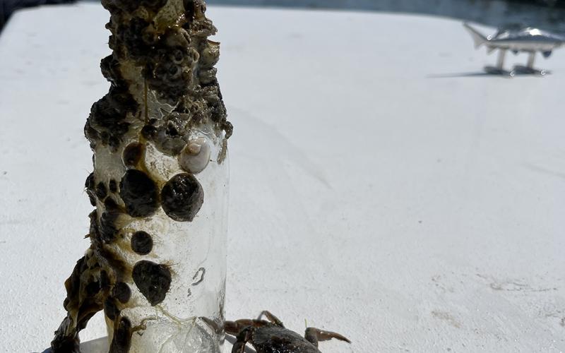 I'll never understand why people bring bottles on a boat