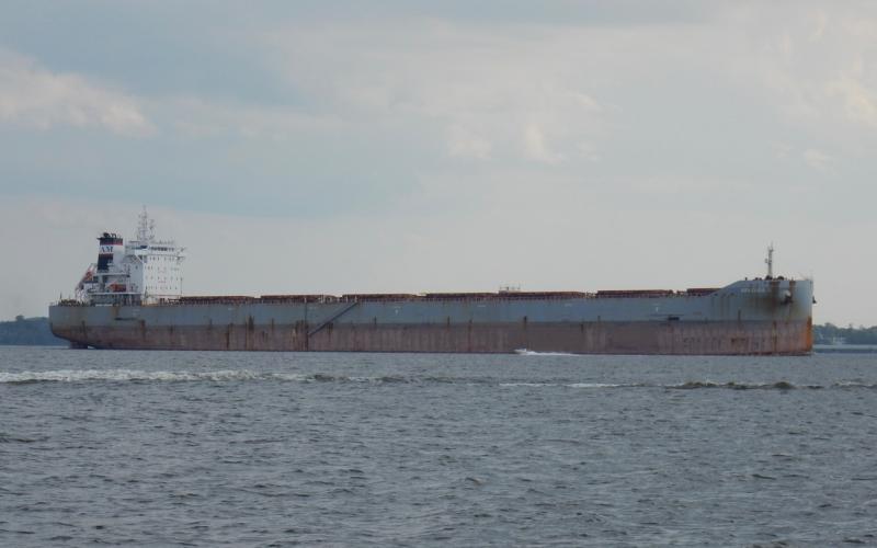 Bulk carrier Armonia A heading up the Patapsco River