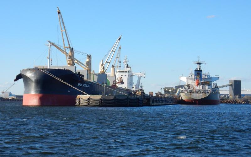 Bulk carriers AMIS Wealth and NACC Newyorker at Sparrows Point