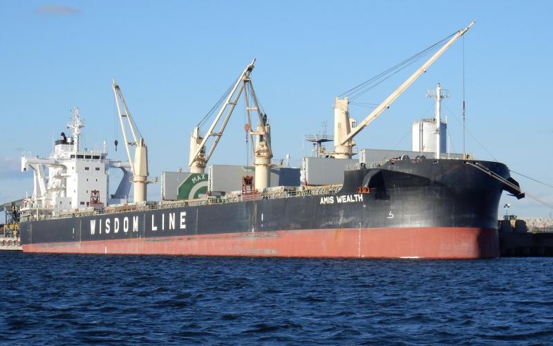Bulk carrier AMIS Wealth at Sparrows Point