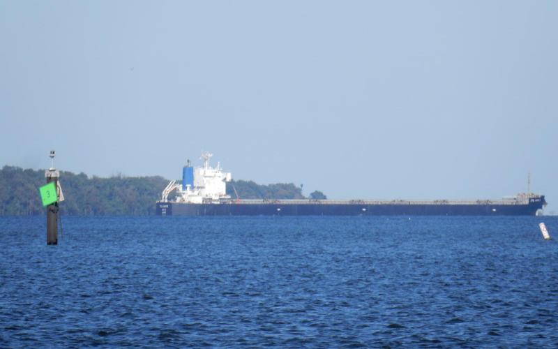 Bulk Carrier ETG Hayate