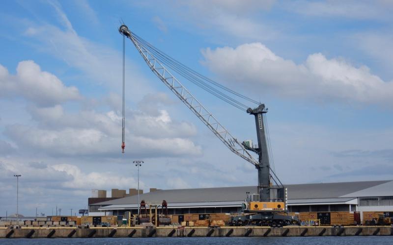 Crane at Lazaretto Point