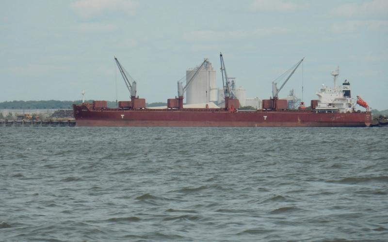 Bulk carrier Arvika at Sparrows Point