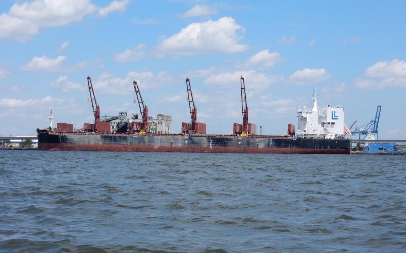 Bulk carrier Las Palmas