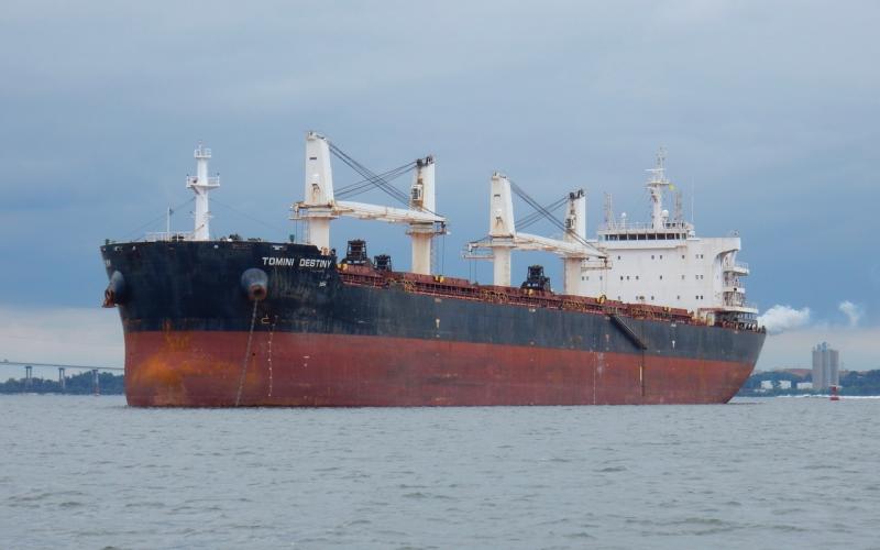 Bulk carrier Tomini Destiny anchored in the Patapsco River