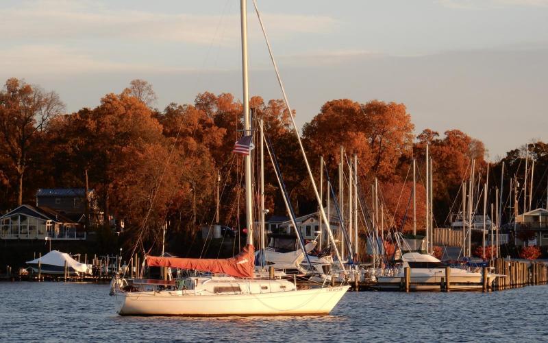 Fall colors on Rock Creek