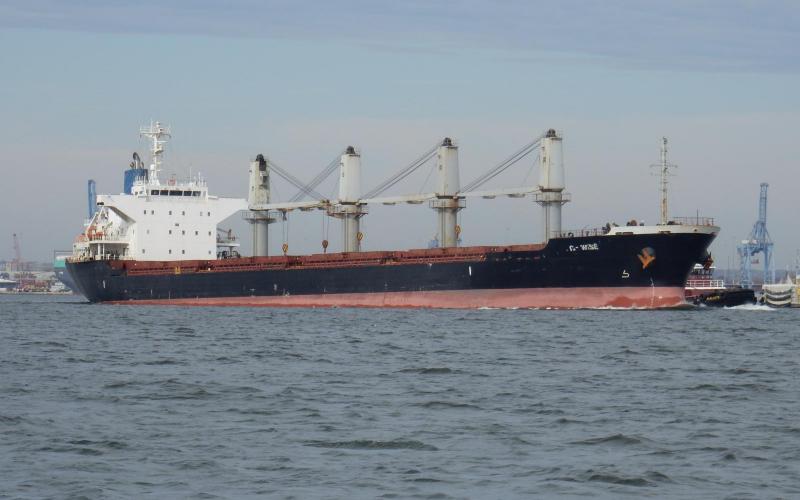 Bulk Carrier C-Wise