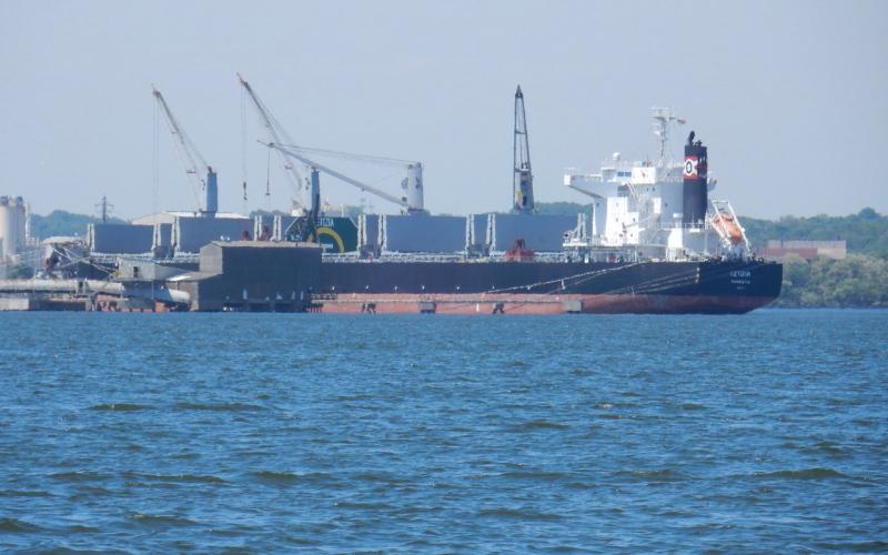 Bulk carrier Letizia
