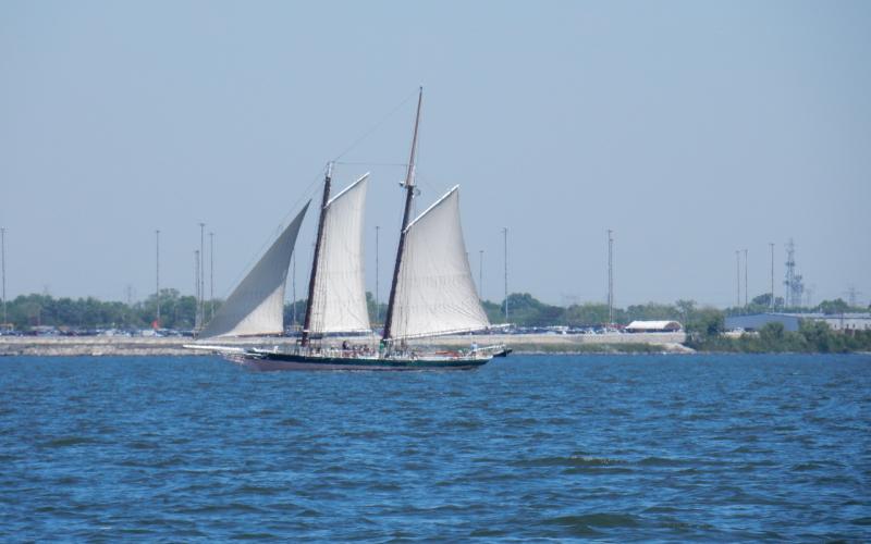 Pungy topsail schooner Lady Maryland