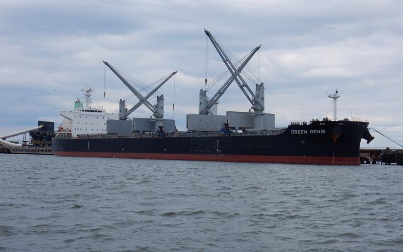 Bulk carrier Green Genie at Sparrows Point