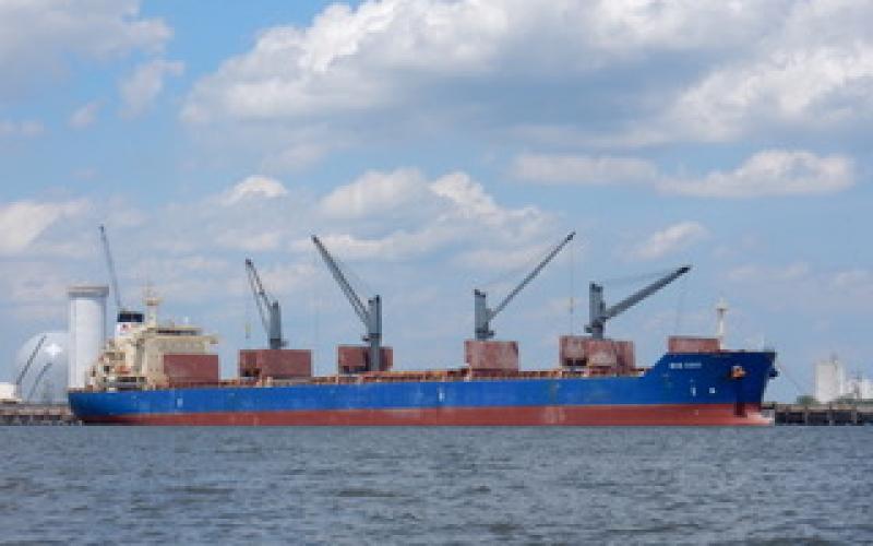 Bulk carrier Iron Duke