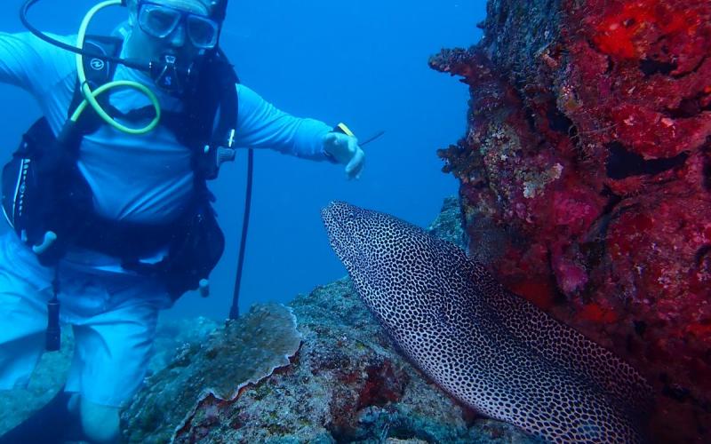 making friends under water