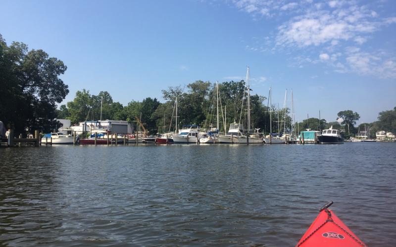 Cypress Marine on Cypress Creek
