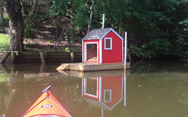 Floating bird house on the northern branch of Cypress Creek